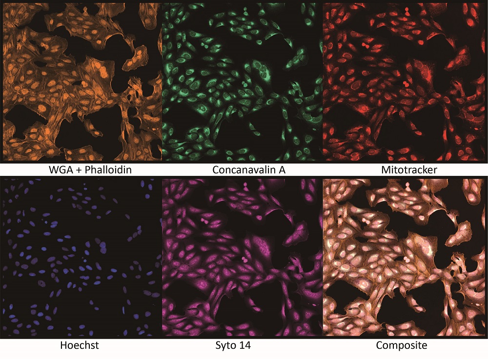 アプリケーション例
